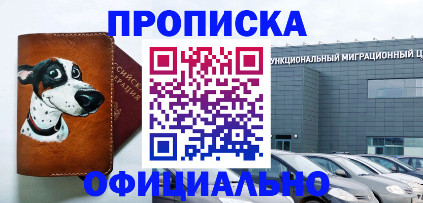 временная прописка в Барыше